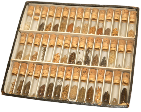 collection-right