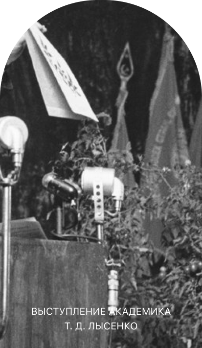 speech-image-2